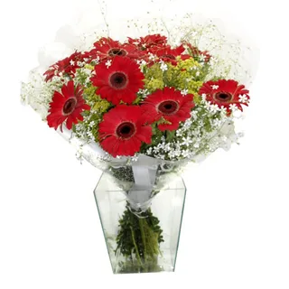 Bouquet de Gérberas Vermelhas
