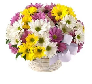 Cesta de Flores do Campo sem Alça
