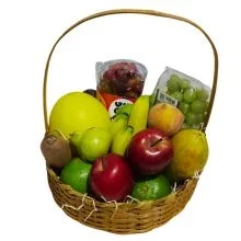 Cesta Tropical