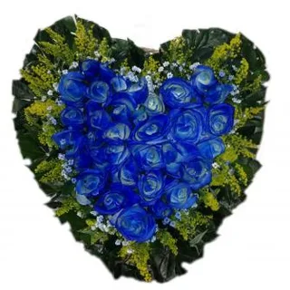 Coração de Rosas Azuis