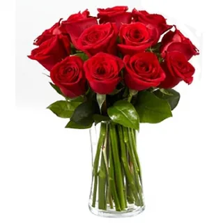 Jarra de Vidro de Rosas Vermelhas
