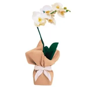Orquídea Branca
