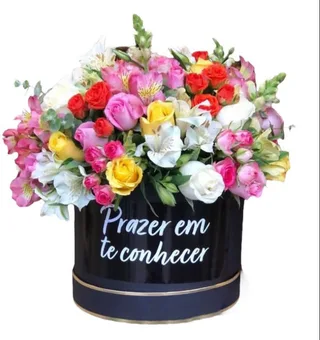 Premium Box Colorido