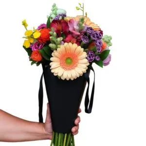 Premium Cone Luxo G Mix Tropical