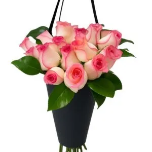 Premium Cone Luxo G Pink Romance