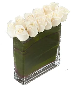 Retângulo de Rosas Brancas