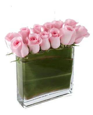 Retângulo de rosas rosa