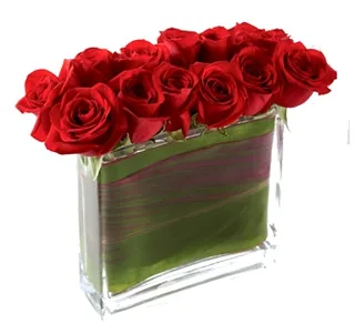 Retângulo de Rosas Vermelhas