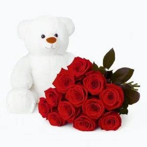Urso com 12 rosas vermelhas