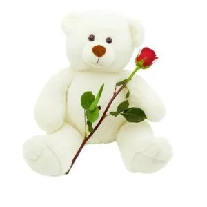 Urso pelúcia com 1 rosa