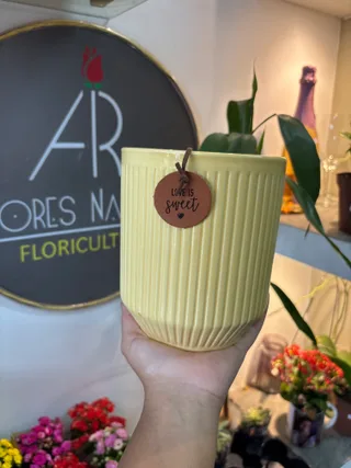 Vaso para planta
