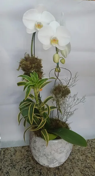 Orquídea na Cerâmica