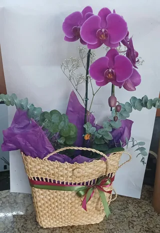 Orquídea na Bolsa