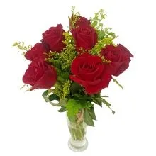 8 Rosas Vermelhas em Vaso