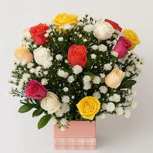 Arranjo de Rosas Coloridas com Áster no Cachepô