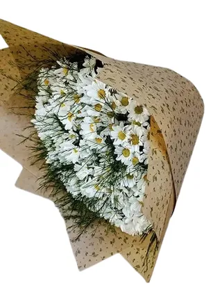 Buquê Ternura de Margaridinhas Brancas