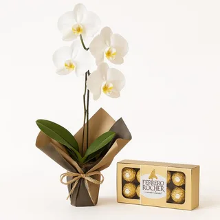 Orquídea Phalaenopsis Branca com Caixa de Bombons Ferrero Rocher