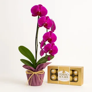 Orquídea Phalaenopsis Rosa com Caixa de Bombons Ferrero Rocher