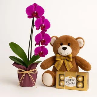 Orquídea Phalaenopsis Rosa com Pelúcia e Caixa Ferrero Rocher